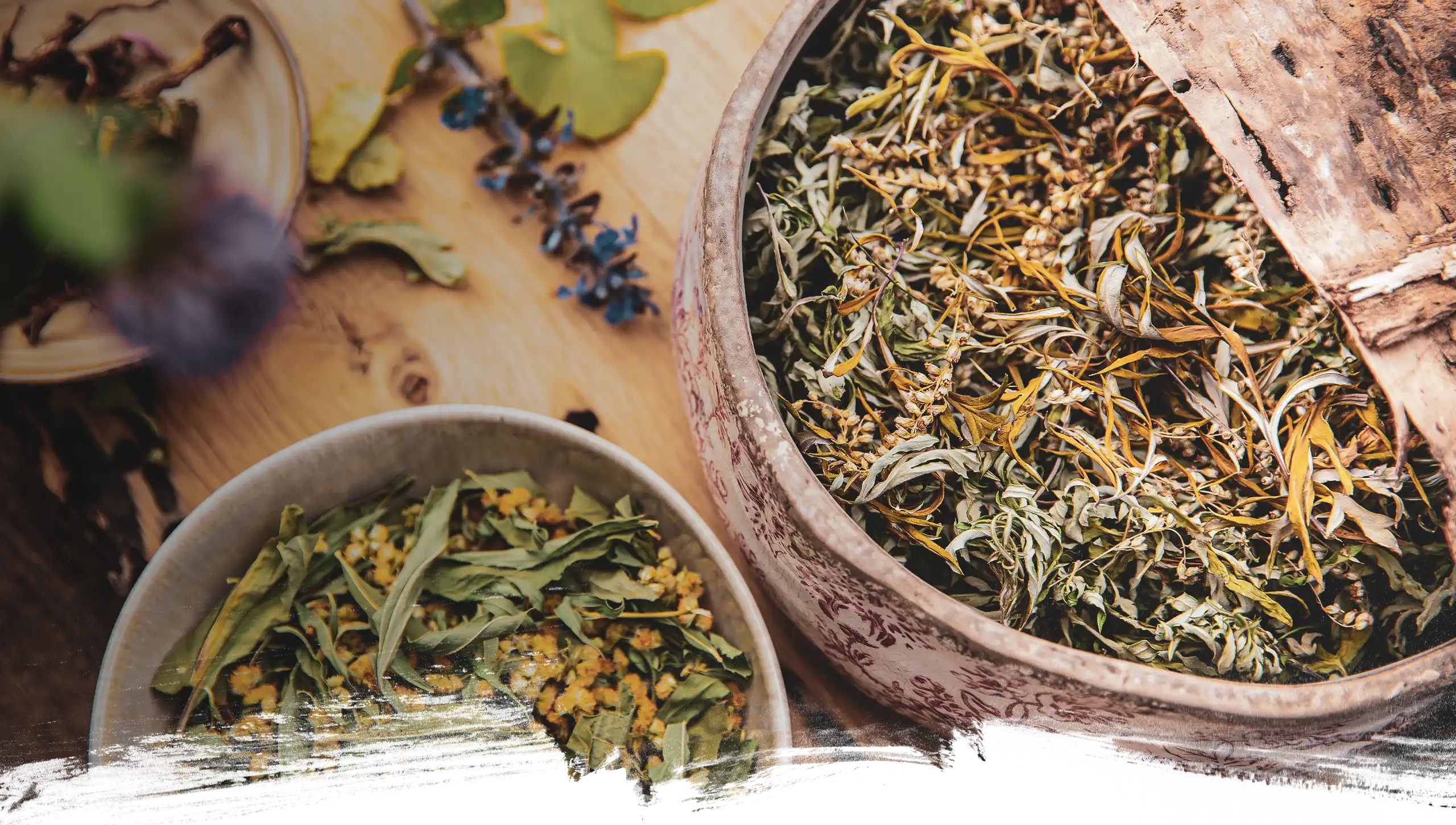 Verschiedene Kräuter in Schalen