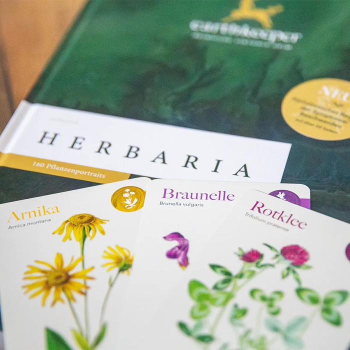 Bundle: Herbaria & Karten in der Faltschachtel – Bild 2
