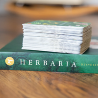 Bundle: Herbaria & Karten in der Faltschachtel – Bild 3