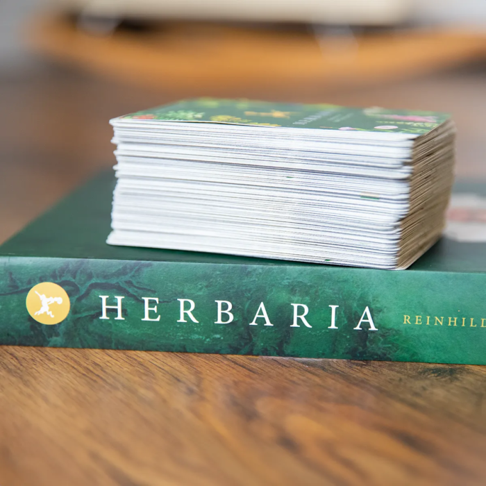 Bundle: Herbaria & Karten in der Faltschachtel – Bild 3
