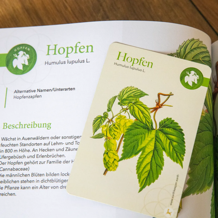 Bundle: Herbaria & Karten in der Faltschachtel – Bild 5