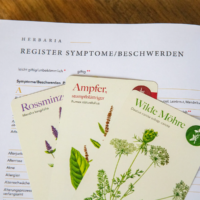 Bundle: Herbaria & Karten in der Faltschachtel – Bild 6