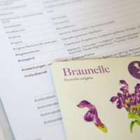 Bundle: Herbaria & Karten in der Faltschachtel – Bild 7