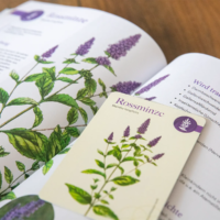 Bundle: Herbaria & Karten in der Faltschachtel – Bild 4