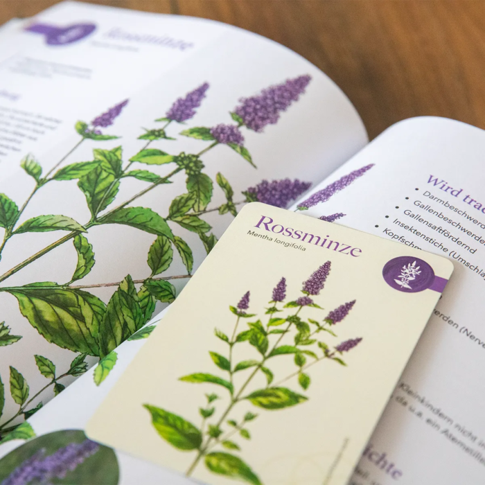 Bundle: Herbaria & Karten in der Faltschachtel – Bild 4