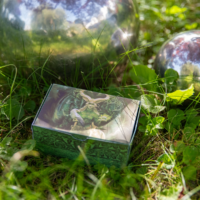Bundle: Herbaria & Karten in der Faltschachtel – Bild 16