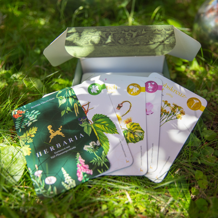 Bundle: Herbaria & Karten in der Faltschachtel – Bild 14